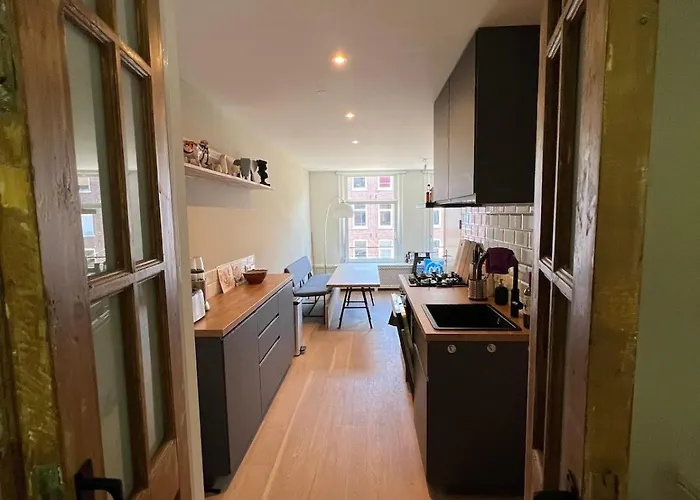 Museum District, Beautiful Renovated House